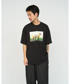 FRIEND EDITIONS × FreshService CORPORATE S/S TEE SHEEP