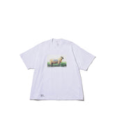 FRIEND EDITIONS × FreshService CORPORATE S/S TEE SHEEP