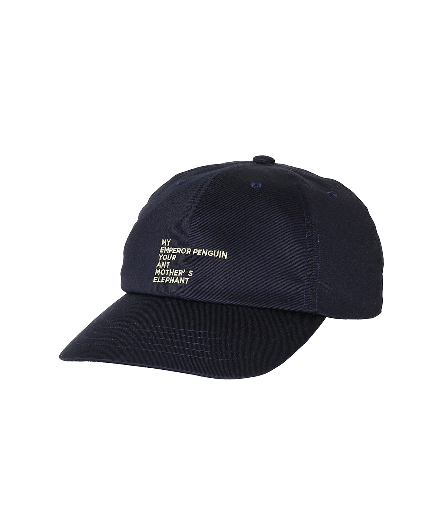 EMBROIDERY COTTON CAP MADE BY NINE TAILOR (ORIGINAL BODY)