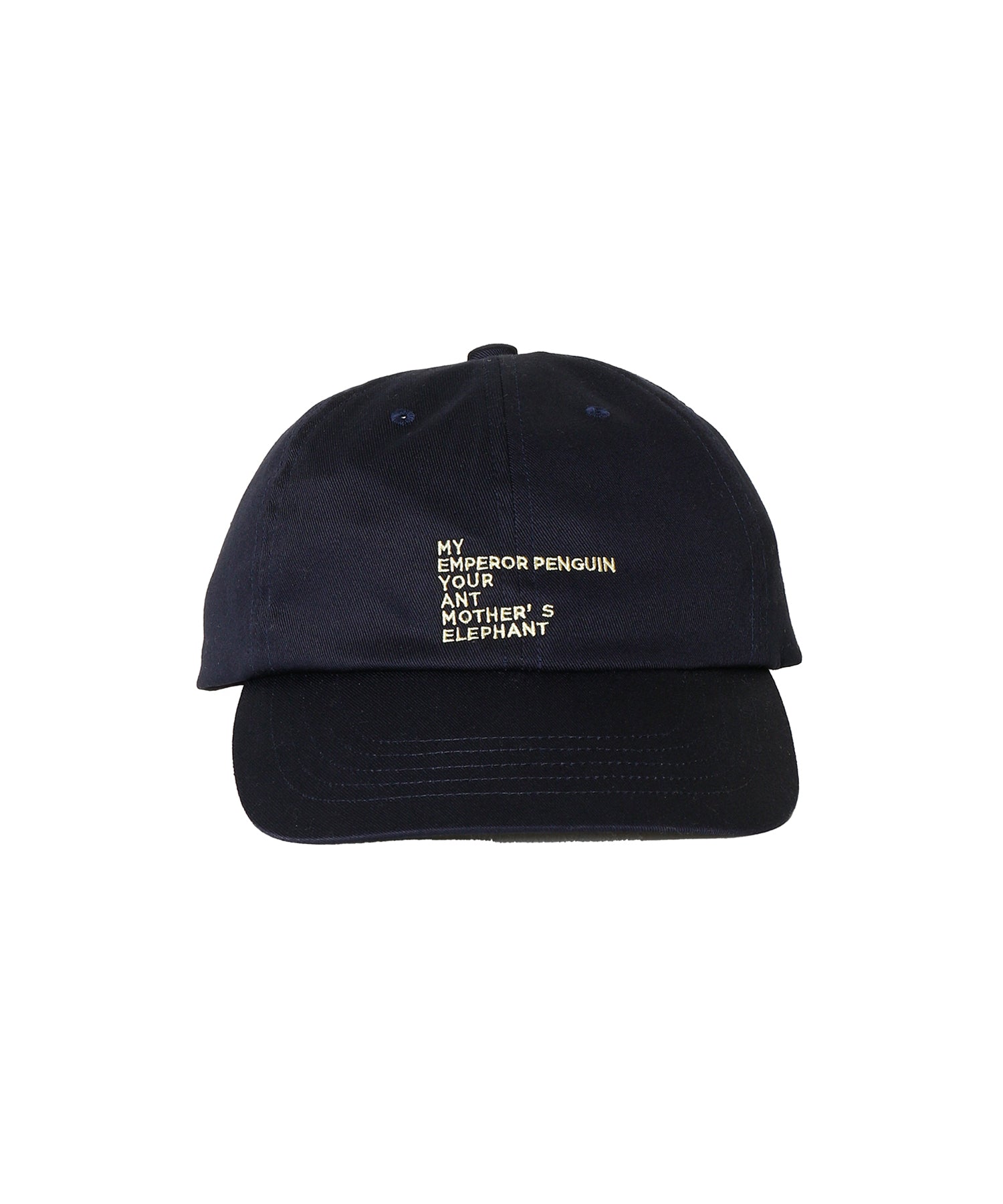 EMBROIDERY COTTON CAP MADE BY NINE TAILOR (ORIGINAL BODY)