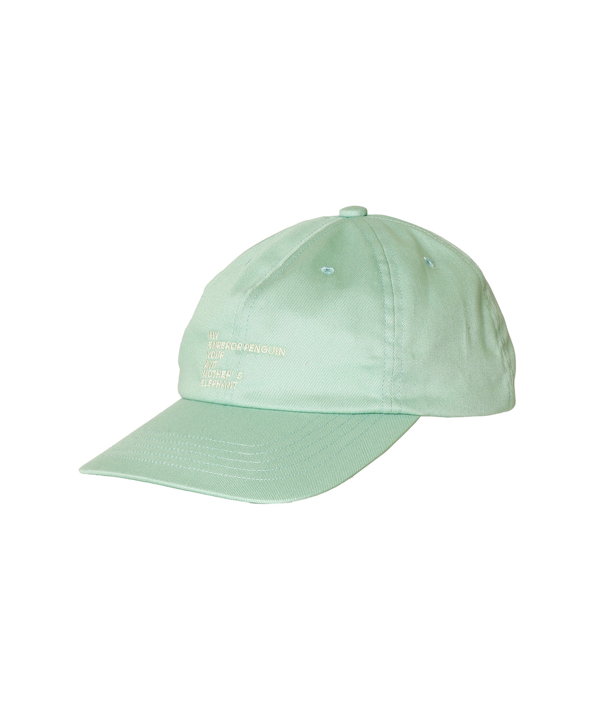 EMBROIDERY COTTON CAP MADE BY NINE TAILOR (ORIGINAL BODY)