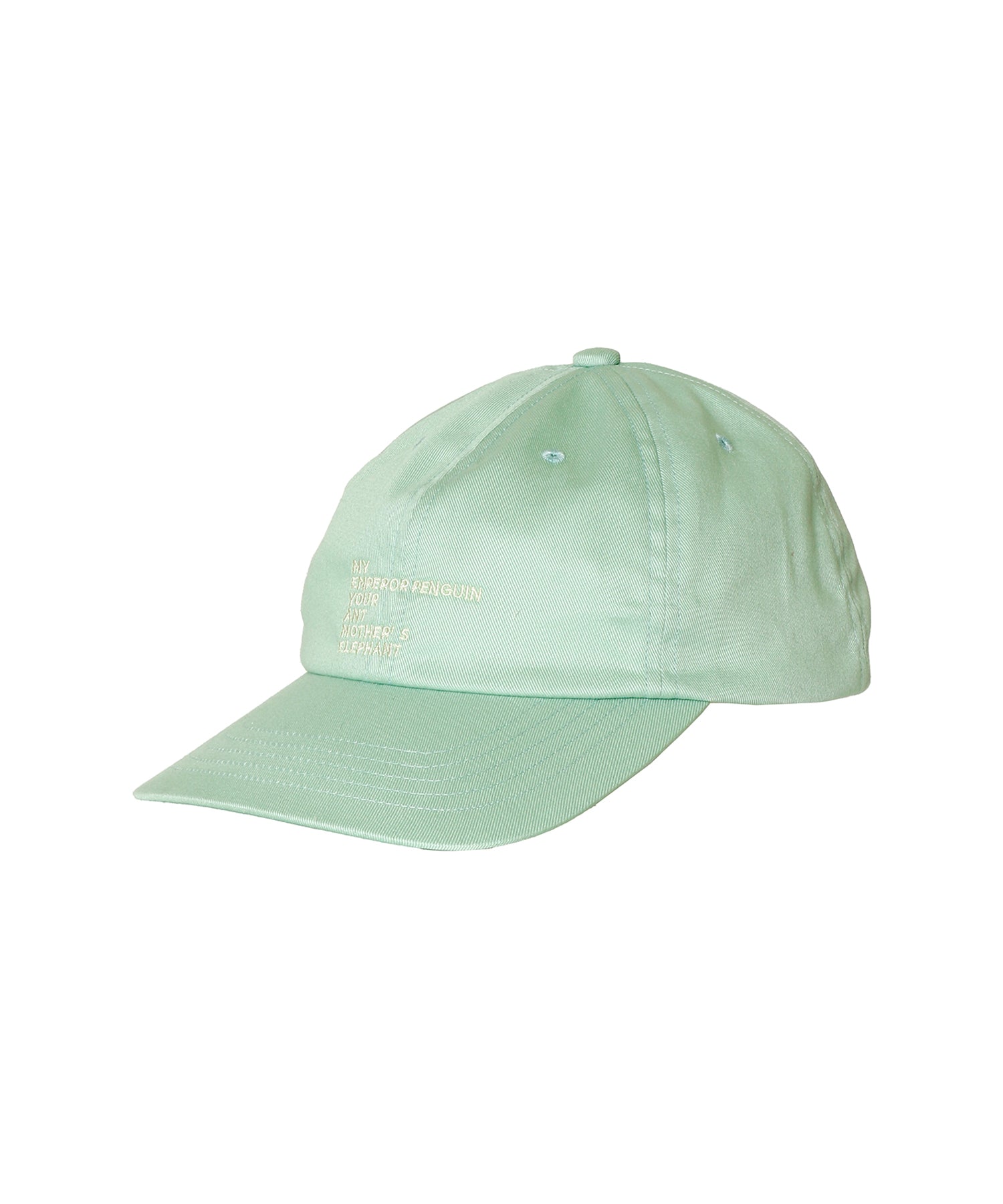EMBROIDERY COTTON CAP MADE BY NINE TAILOR (ORIGINAL BODY)