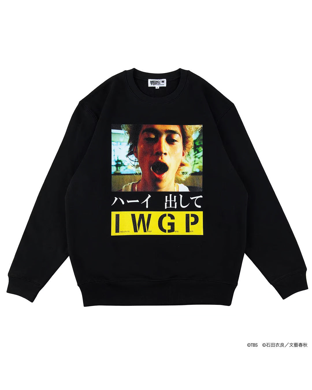 PHOTO MESSAGE SWEATSHIRT "ハーイ 出して"