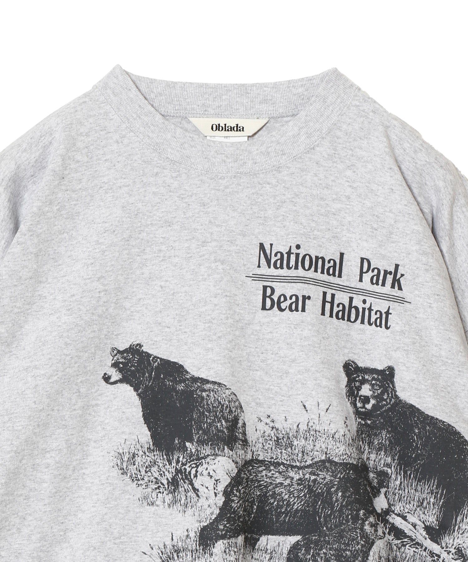 BEAR LONG TEE