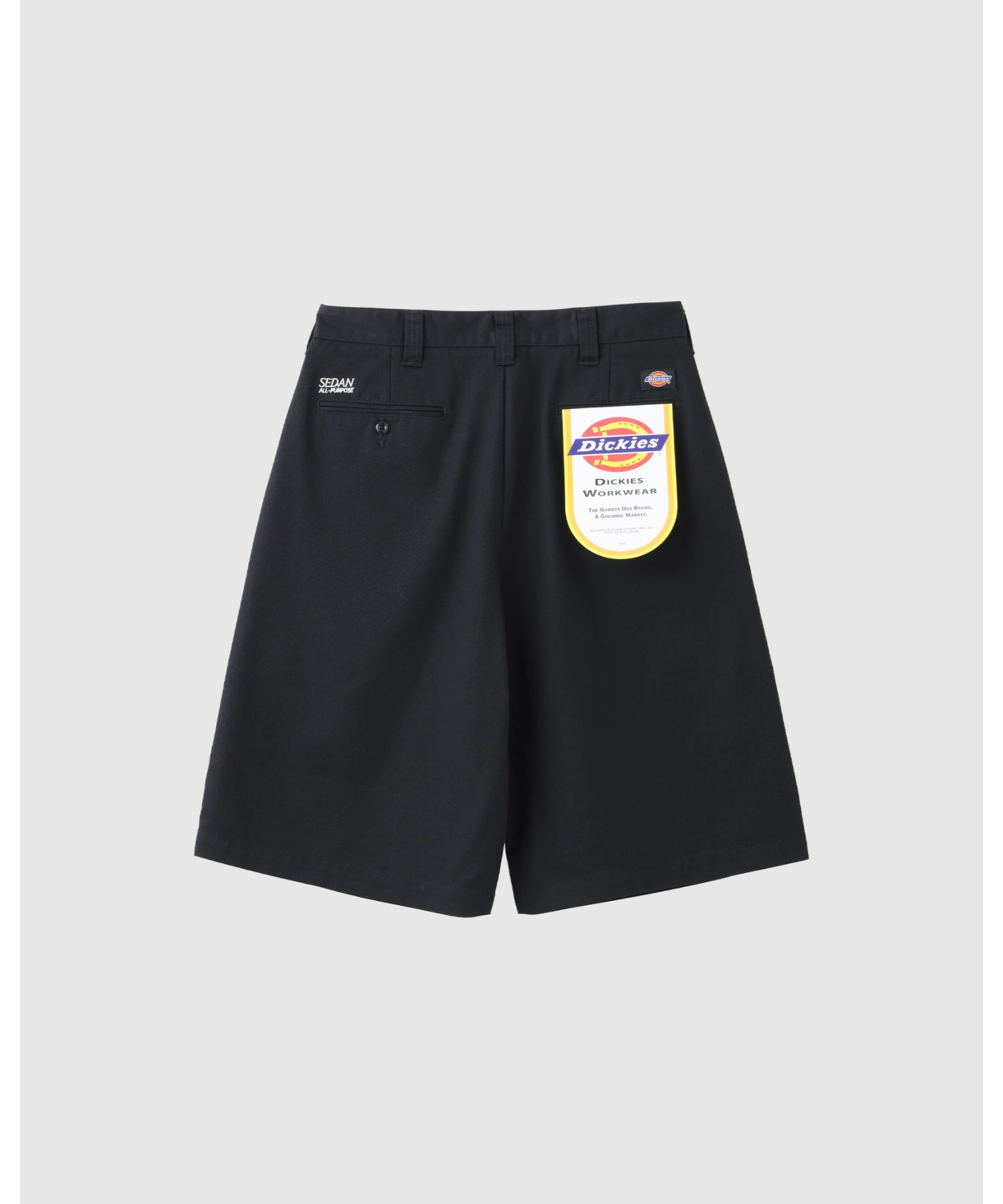 DICKIES / TUCK WIDE SHORTS