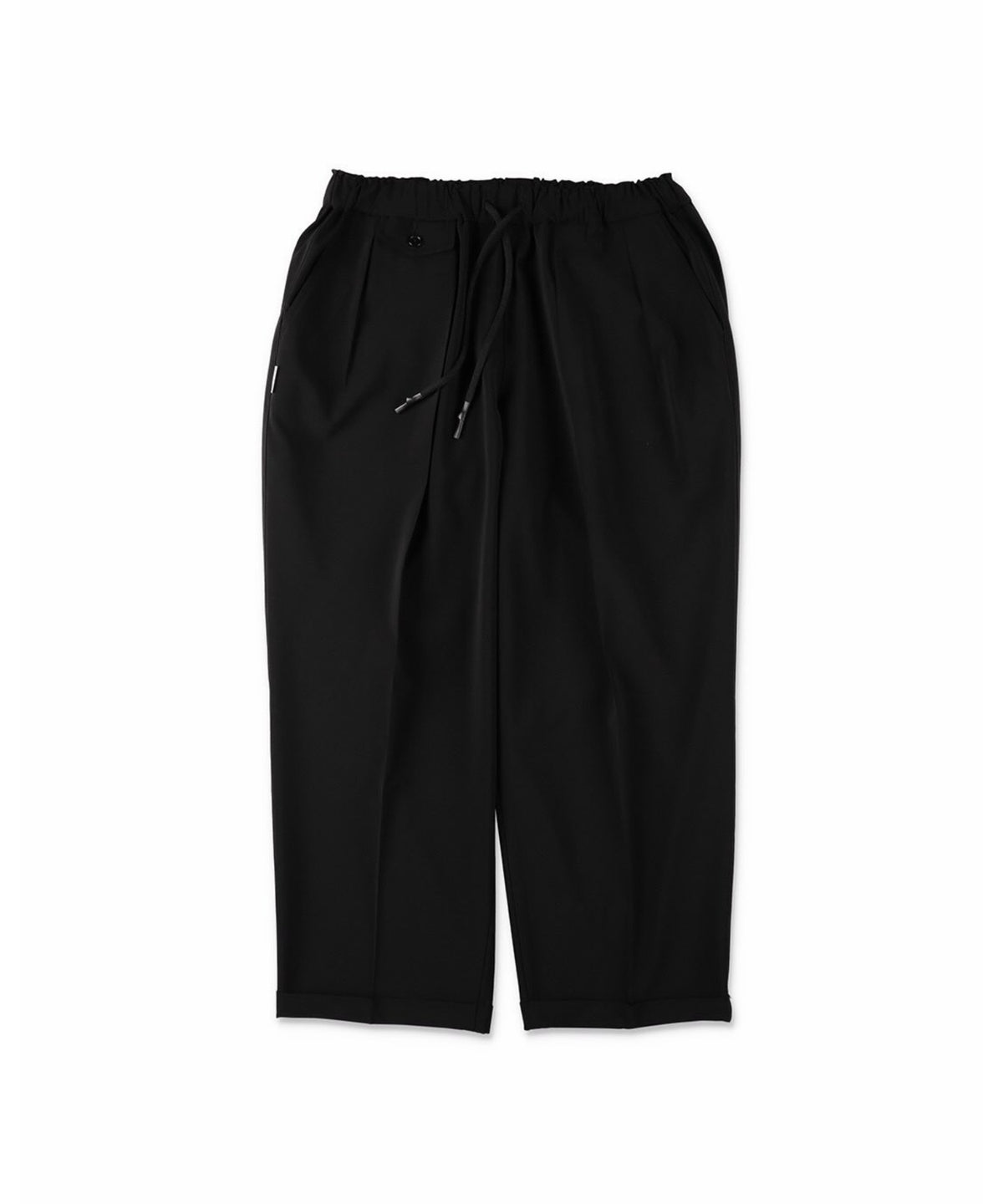 INVERTED PLEATS PANTS