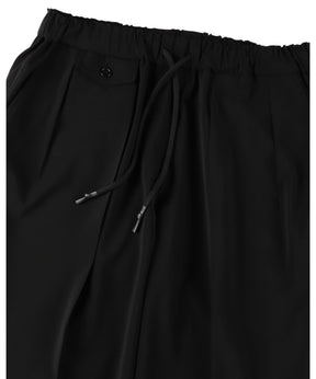 INVERTED PLEATS PANTS