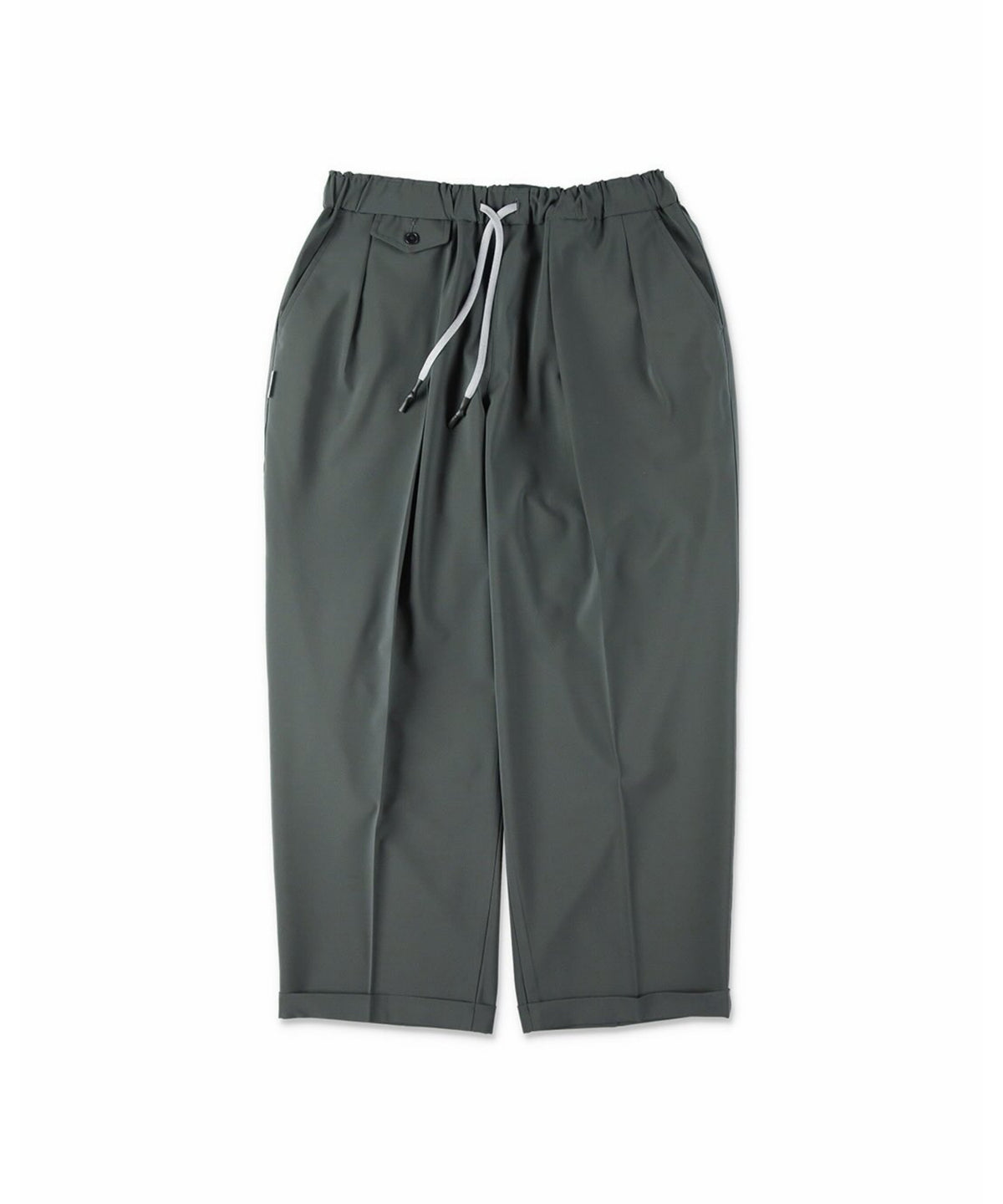 INVERTED PLEATS PANTS