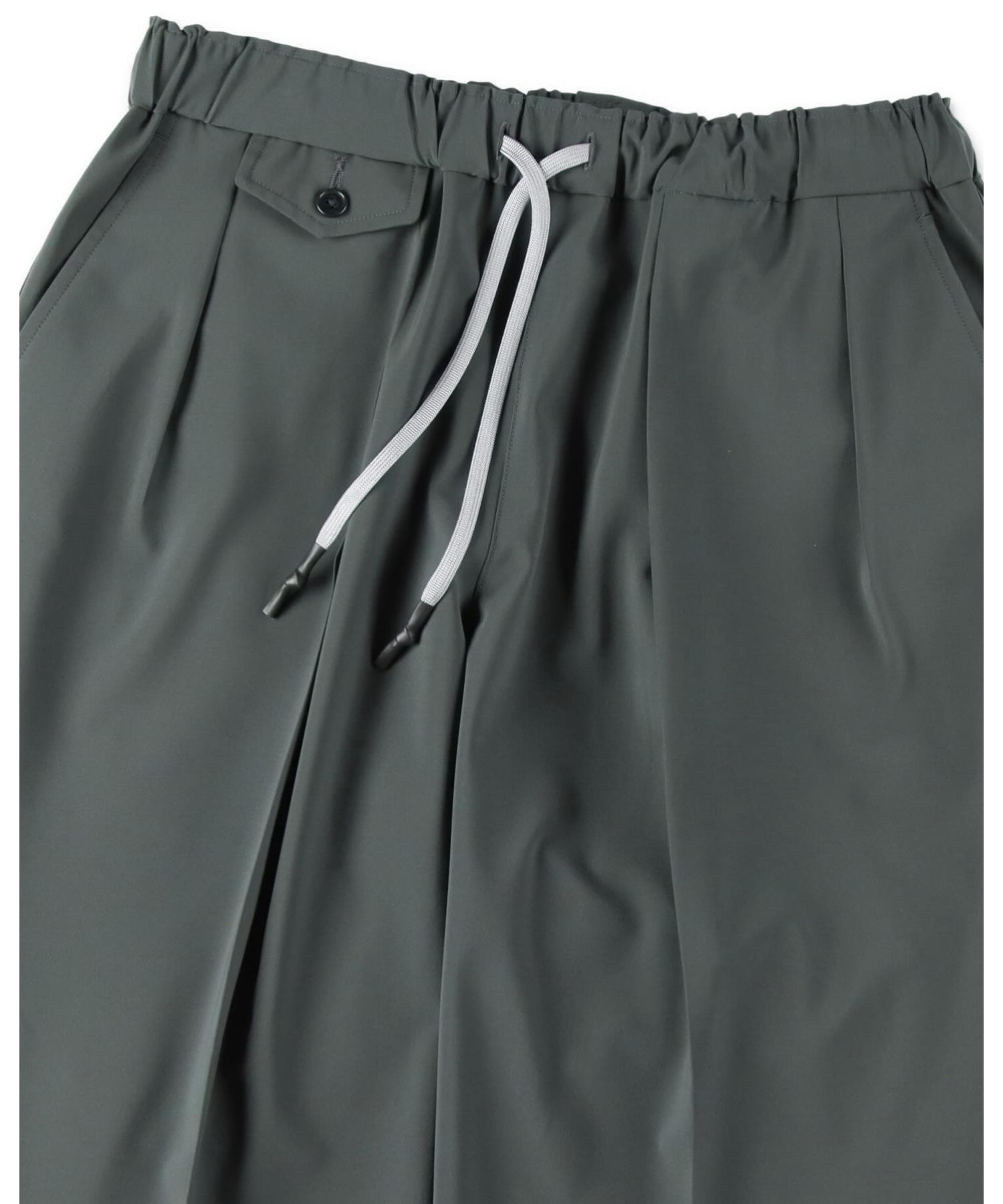 INVERTED PLEATS PANTS