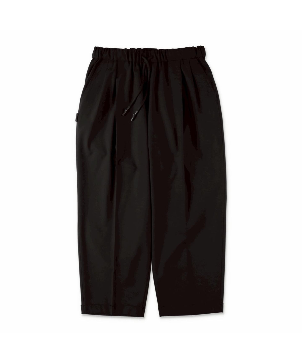 TWO TUCK S WOOL PANTS