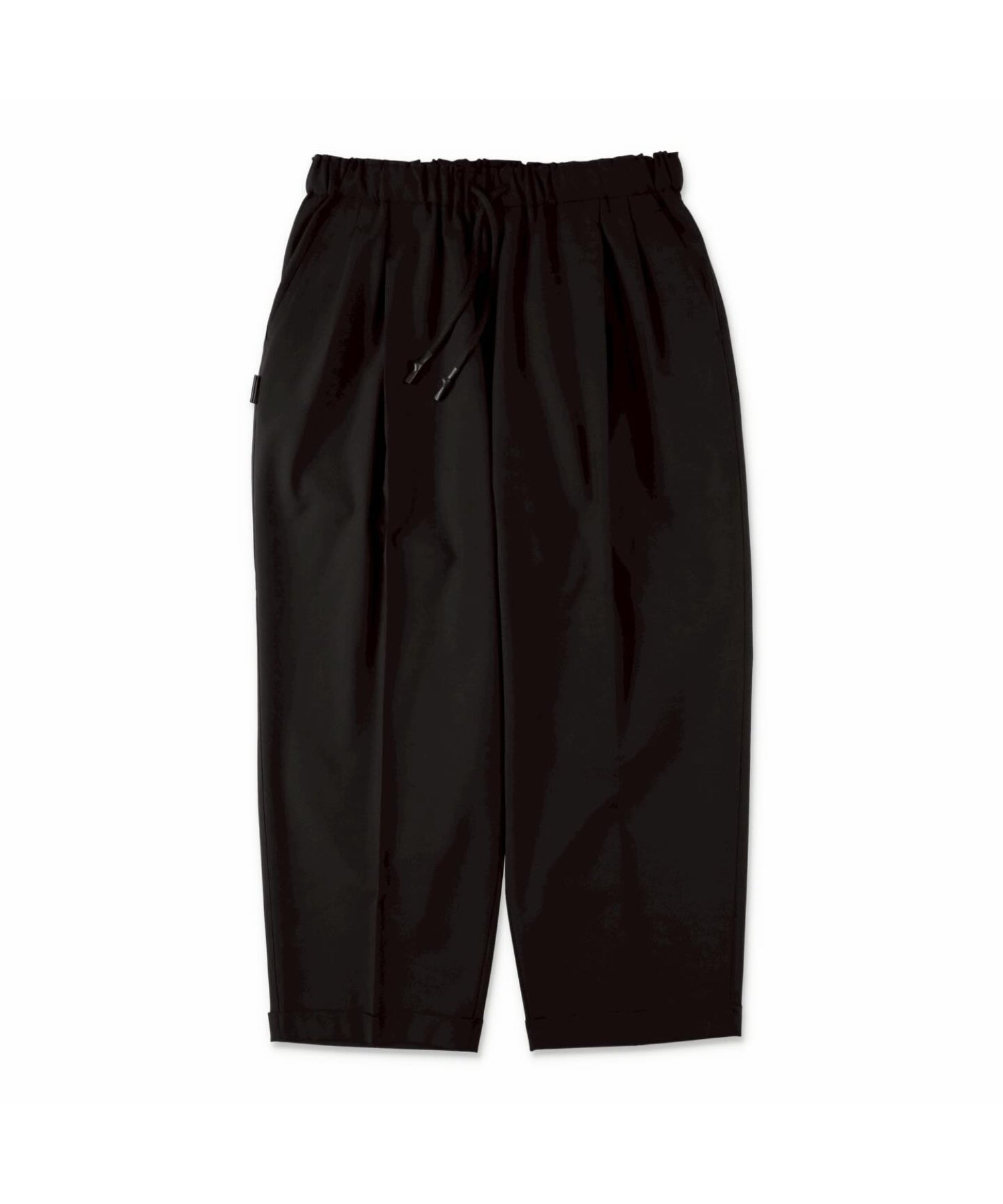 TWO TUCK S WOOL PANTS