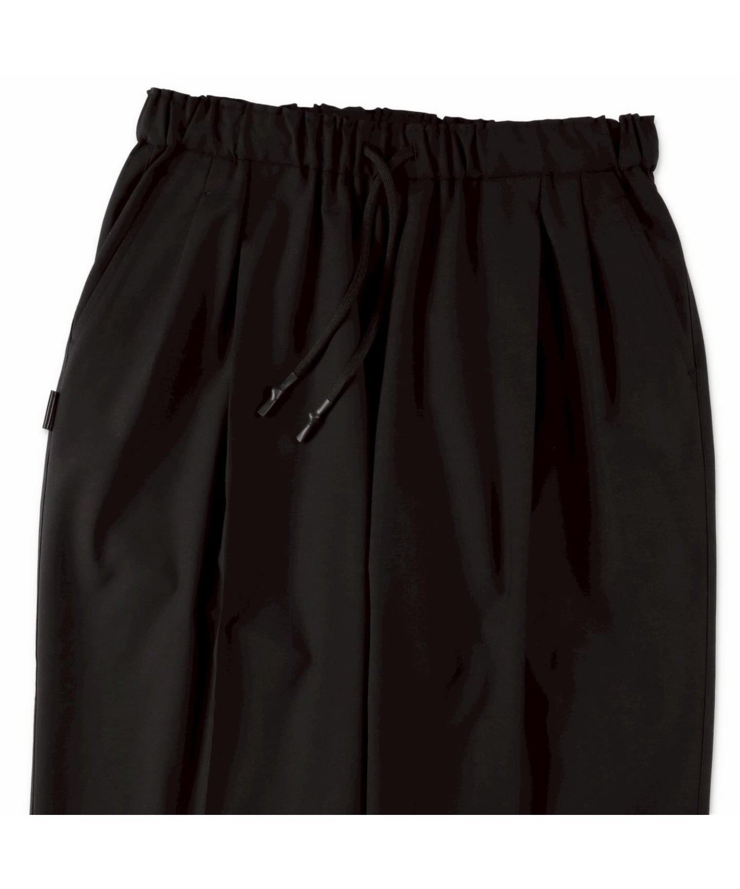 TWO TUCK S WOOL PANTS