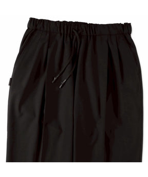 TWO TUCK S WOOL PANTS