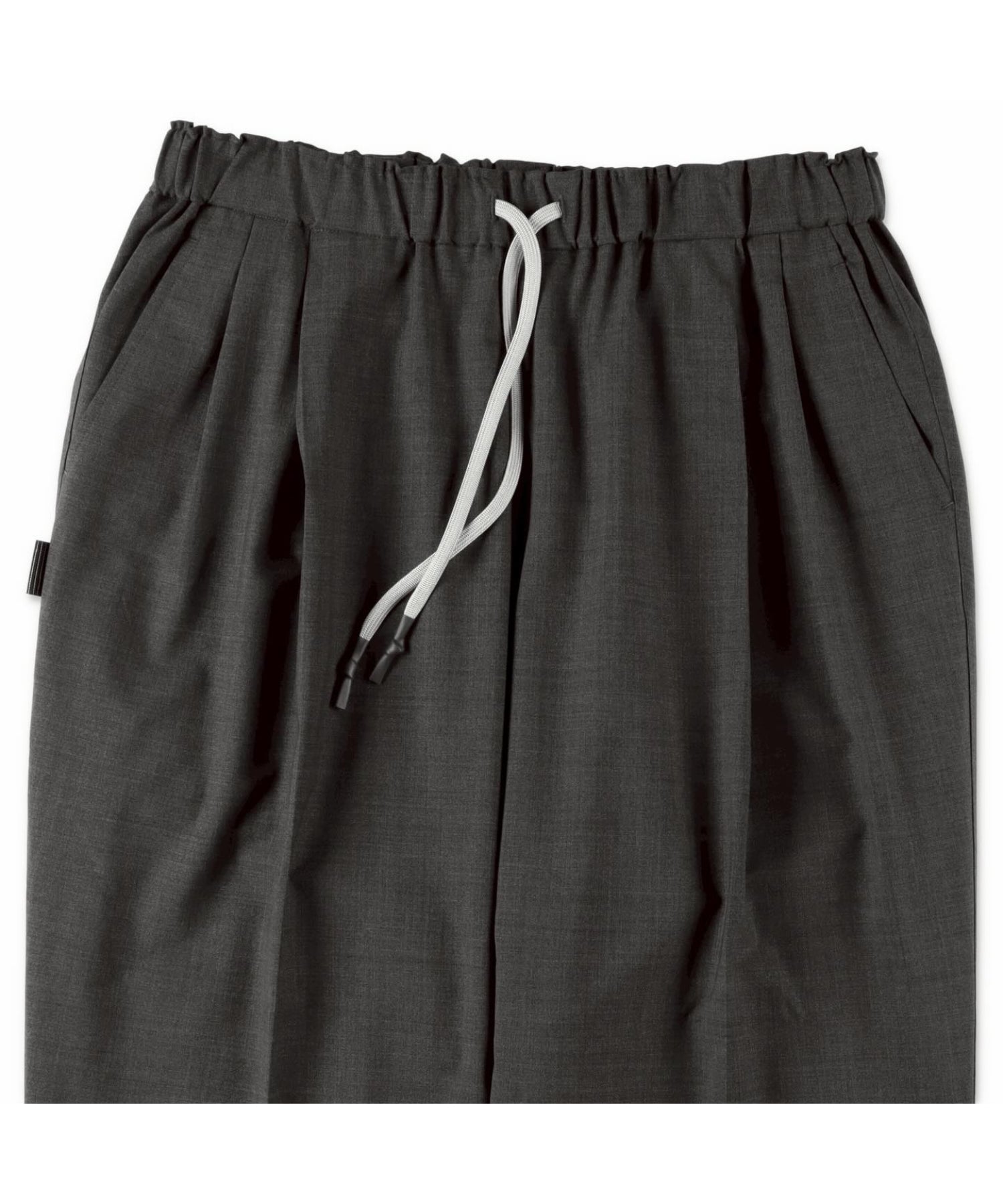 TWO TUCK S WOOL PANTS