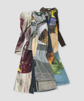 Food Graphic Dress