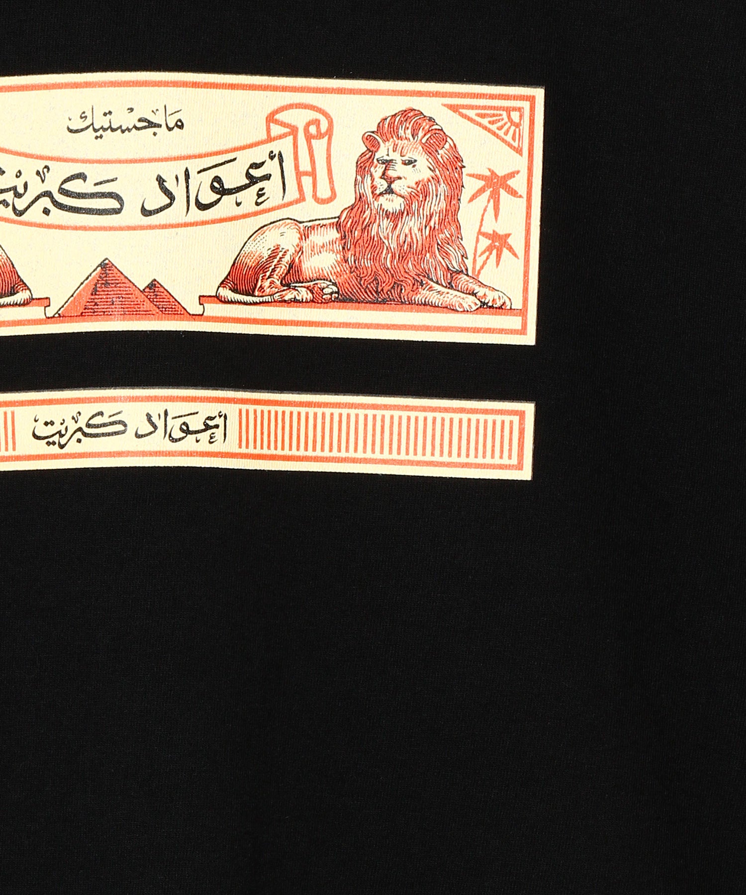 THE PHOENICIAN SCHEME / WASHED HEAVY WEIGHT T-SHIRT