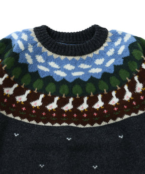 Unlikely Fair Isle “Duck”