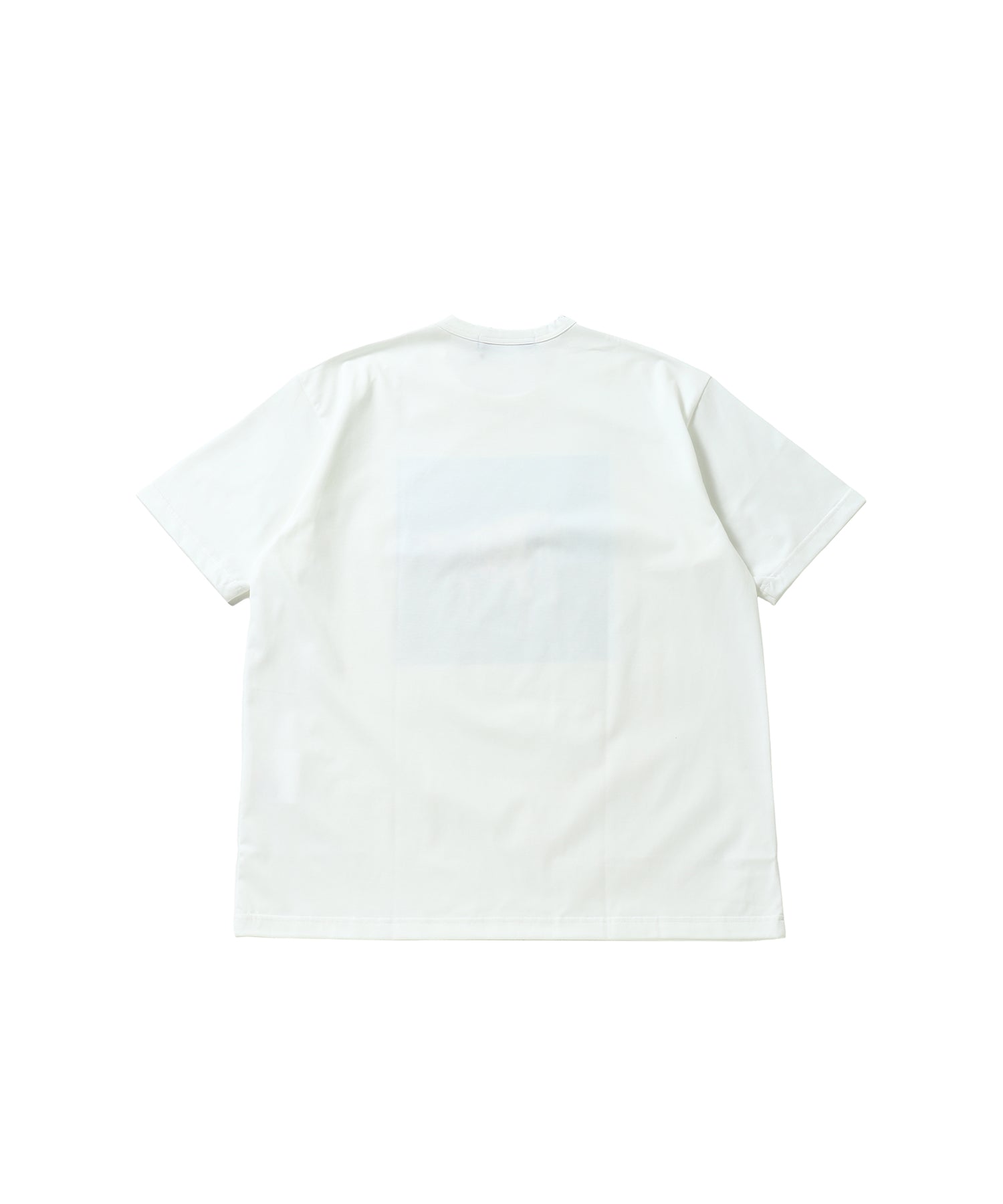 綿度詰め天竺 製品プリント Tシャツ