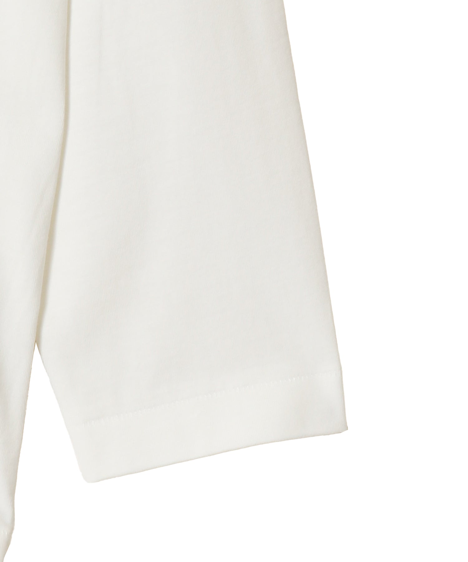 綿天竺 製品プリント Merz b. Schwanen