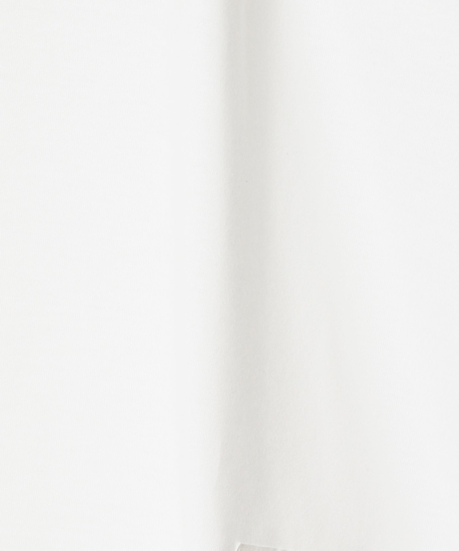 綿度詰め天竺 製品プリント