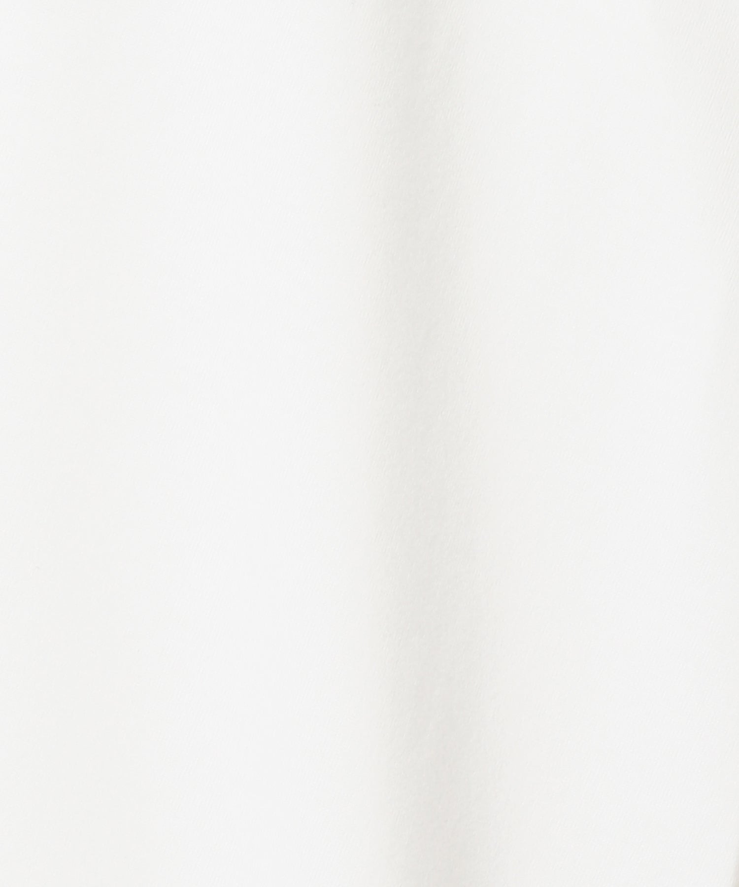 綿度詰め天竺 製品プリント