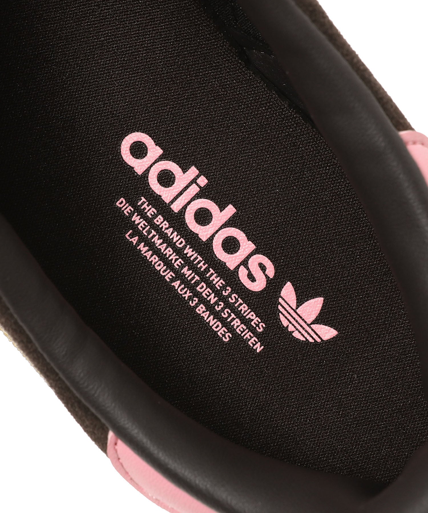GAZELLE BOLD