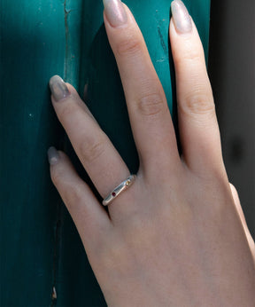SCENERY RING SV