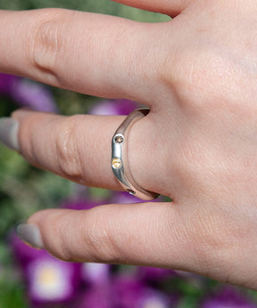 SCENERY RING SV