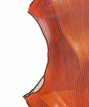 SHEER GRAPHIC DRESS *SLEEVELES